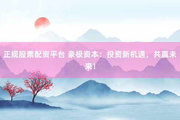 正规股票配资平台 豪极资本：投资新机遇，共赢未来！