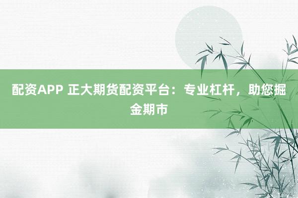 配资APP 正大期货配资平台：专业杠杆，助您掘金期市