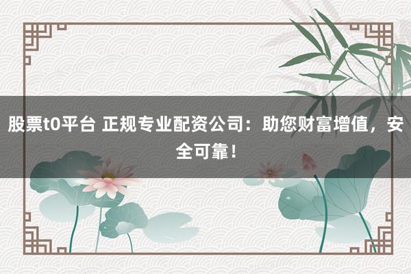 股票t0平台 正规专业配资公司：助您财富增值，安全可靠！