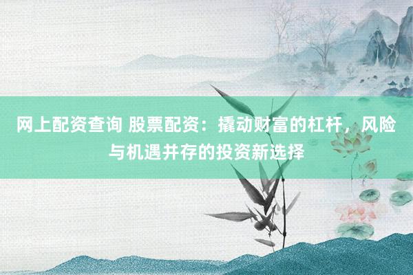 网上配资查询 股票配资：撬动财富的杠杆，风险与机遇并存的投资新选择