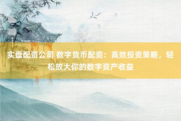 实盘配资公司 数字货币配资：高效投资策略，轻松放大你的数字资产收益
