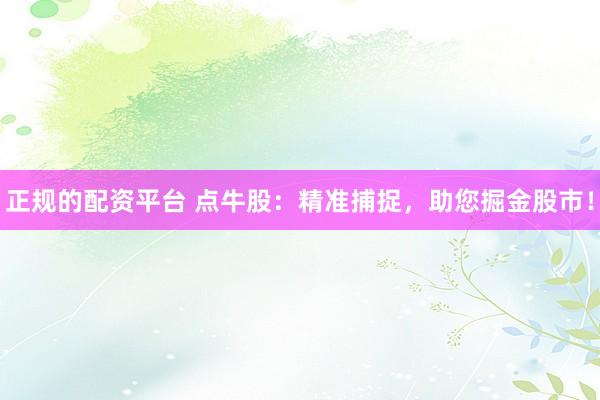 正规的配资平台 点牛股：精准捕捉，助您掘金股市！