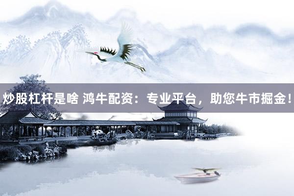 炒股杠杆是啥 鸿牛配资：专业平台，助您牛市掘金！