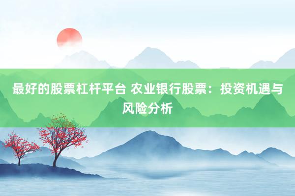 最好的股票杠杆平台 农业银行股票:投资机遇与风险分析