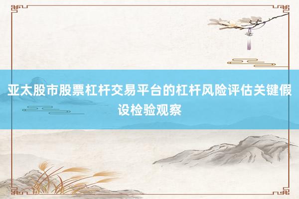 亚太股市股票杠杆交易平台的杠杆风险评估关键假设检验观察