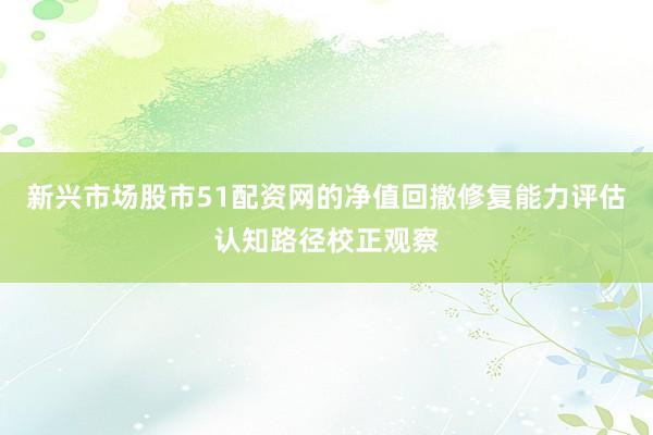 新兴市场股市51配资网的净值回撤修复能力评估认知路径校正观察
