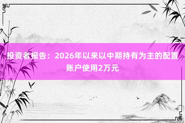 投资者报告：2026年以来以中期持有为主的配置账户使用2万元