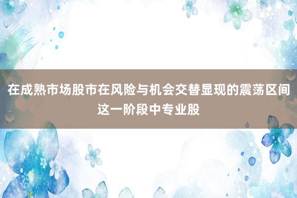 在成熟市场股市在风险与机会交替显现的震荡区间这一阶段中专业股